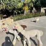Luxury Surrounded With Nature & Farm Animals Alpacas Etc וילה