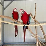 Luxury Surrounded With Nature & Farm Animals Alpacas Etc