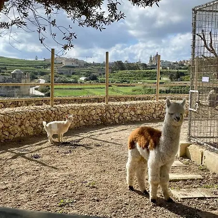 别墅 Luxury Surrounded With Nature & Farm Animals Alpacas Etc *