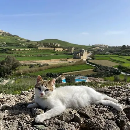 Villa Luxury Surrounded With Nature & Farm Animals Alpacas Etc Għasri