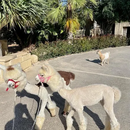 Luxury Surrounded With Nature & Farm Animals Alpacas Etc Villa