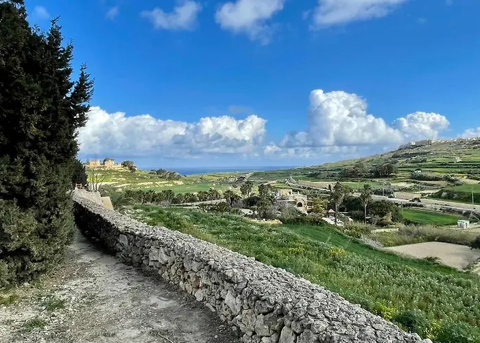 Villa Luxury Surrounded With Nature & Farm Animals Alpacas Etc