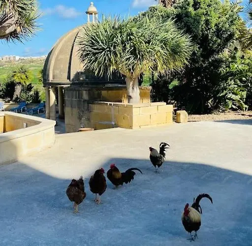 Luxury Surrounded With Nature & Farm Animals Alpacas Etc Villa