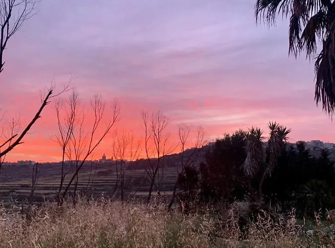 Luxury Surrounded With Nature & Farm Animals Alpacas Etc Villa Għasri