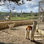 Villa Luxury Surrounded With Nature & Farm Animals Alpacas Etc *