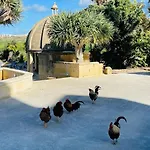 Luxury Surrounded With Nature & Farm Animals Alpacas Etc Villa