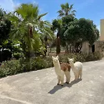 Luxury Surrounded With Nature & Farm Animals Alpacas Etc *