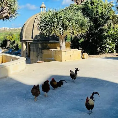 Luxury Surrounded With Nature & Farm Animals Alpacas Etc Villa