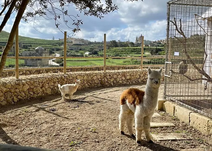 Villa Luxury Surrounded With Nature & Farm Animals Alpacas Etc *