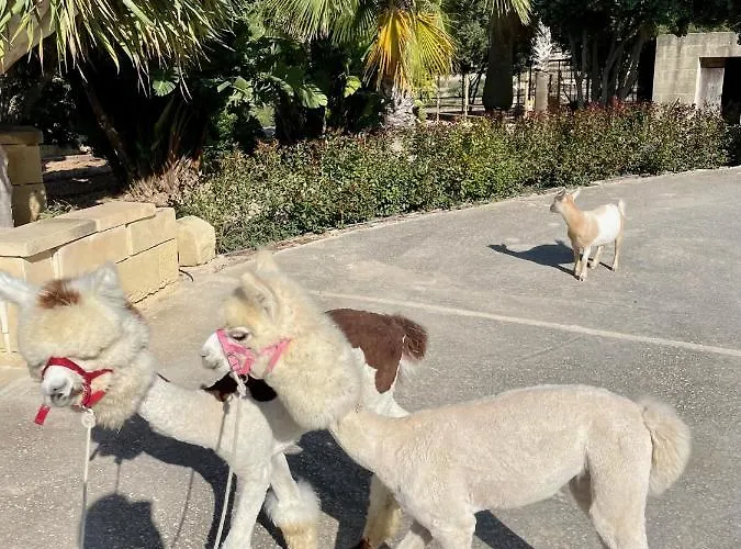 Luxury Surrounded With Nature & Farm Animals Alpacas Etc Villa